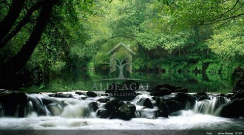 Complejo rural con licencia turística en aldea gallega - hogar, negocio y naturaleza en perfecta armonía ?