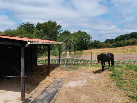 Complejo rural con licencia turística en aldea gallega - hogar, negocio y naturaleza en perfecta armonía ?